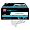 Wholesale ⌛ Grip-Rite 1-in 11-Gauge Electro-Galvanized Steel Roofing Nails (1-lb) 💯 -Roofing shop online 00402005 scaled