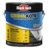 Budget 𧨠BLACK JACK Roof Coatings Eterna-Kote 3.6-quart Silicone Reflective Roof Coating (Lifetime Warranty) βοΈ 1 Budget 𧨠BLACK JACK Roof Coatings Eterna-Kote 3.6-quart Silicone Reflective Roof Coating (Lifetime Warranty) βοΈ -Roofing shop online 05006847