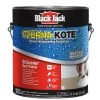 Hot Sale π BLACK JACK Roof Coatings Eterna-Kote 3.5-quart Silicone Reflective Roof Coating (Lifetime Warranty) 𧨠2 Hot Sale π BLACK JACK Roof Coatings Eterna-Kote 3.5-quart Silicone Reflective Roof Coating (Lifetime Warranty) 𧨠-Roofing shop online 08320668