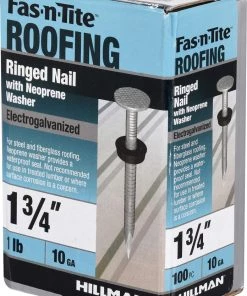 Promo 🔥 Fas-n-Tite 10-Gauge Electro-Galvanized Roofing Nails (1-lb) 👍 -Roofing shop online 10389932